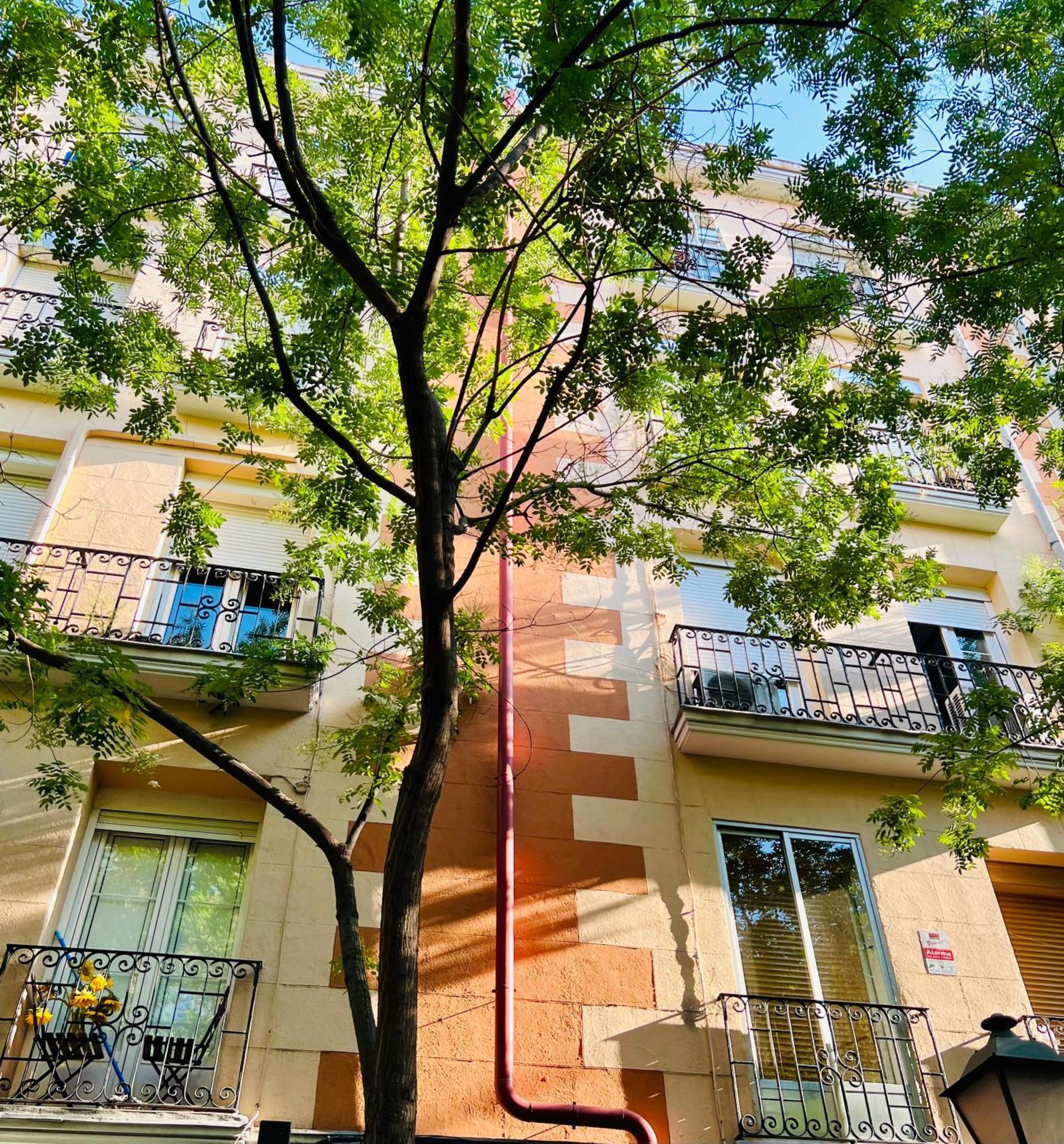 Atocha Cozy Home Madrid Exteriör bild